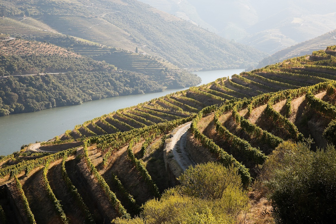 Douro All Around Wine 2023