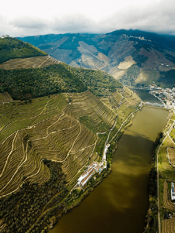 Cruzeiro Porto - Pinhão
