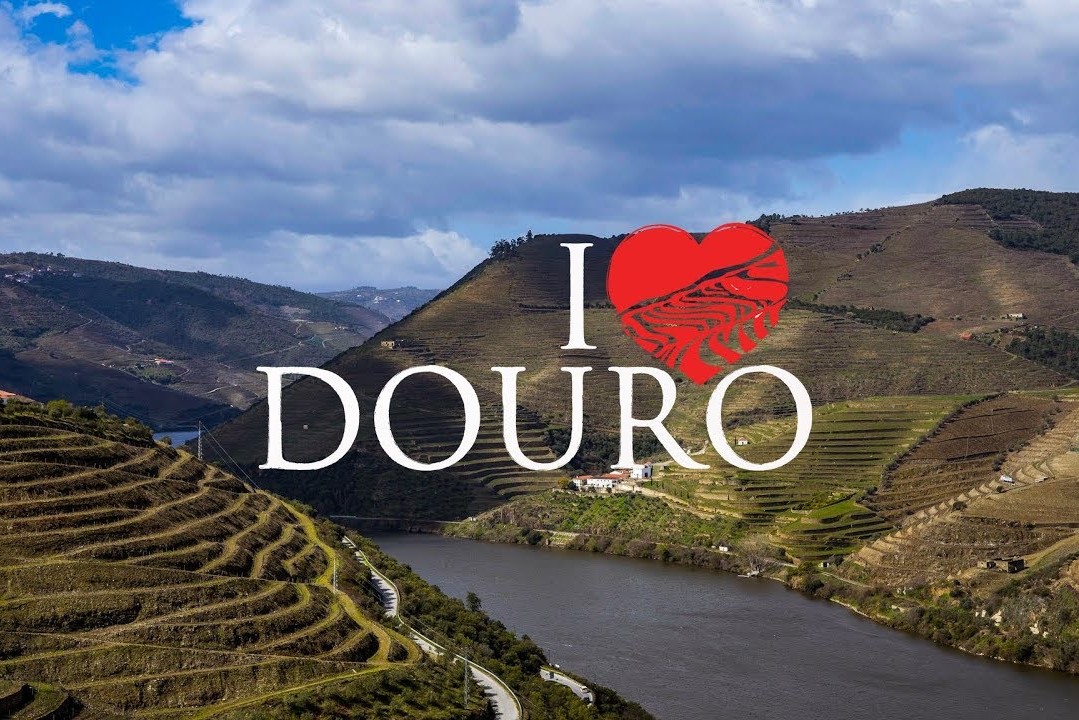 COVID 19 - WE LOVE DOURO