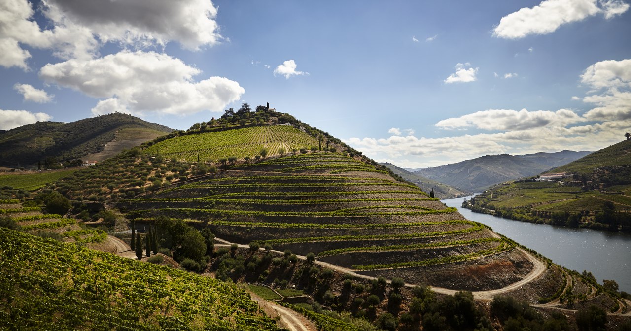 Forbes Magazine highlights Douro